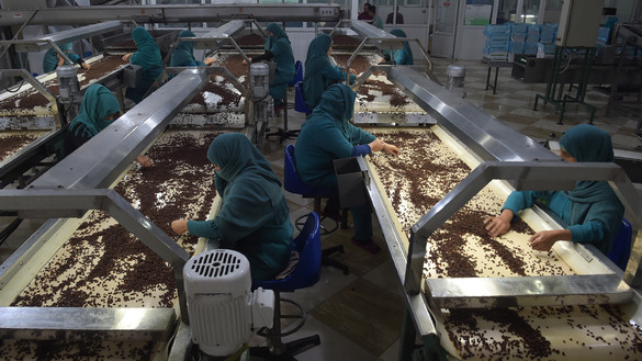 Afghan women sort raisins at a raisin factory in the outskirts of Kabul on October 22, 2017. [Shah Marai/AFP]