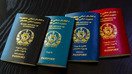 افغانان د پاسپورټ لپاره د غوښتنلیک سپارلو د نوي آنلاین سیسټم هرکلی کوي