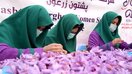 د زعفرانو افغان بزګران له ایران څخه د وارداتو په بندېدلو سره د قېمت په ډېرېدلو خوښ دي