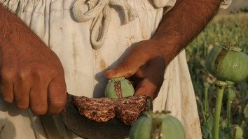 د افغانستان له خوا د نشه ییزو توکو په هکله تازه نوښتونو د طالبانو تمویل زیانمن کړ
