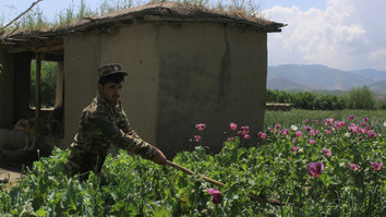 Taliban have become Afghanistan's top drug cartel: officials