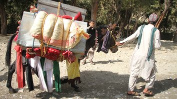 درگیری ها میان داعش و طالبان 500 خانواده را در ننگرهار مجبور به فرار کرده اند