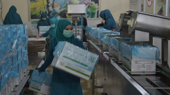 An Afghan woman works at a raisin factory in the outskirts of Kabul October 22. The Afghan government supports modernising the cultivation and export of raisins. [Shah Marai/AFP]