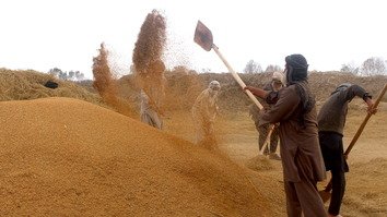 طالب اورپکي د کندوز له بزګرانو څخه په زور عشر اخلي