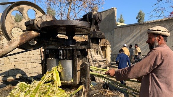 Sayed Rahman, 48, extracts juice from sugar cane in Kama District, Nangarhar Province, December 26. The juice is used to make gora, a traditional sweet. [Khalid Zerai]