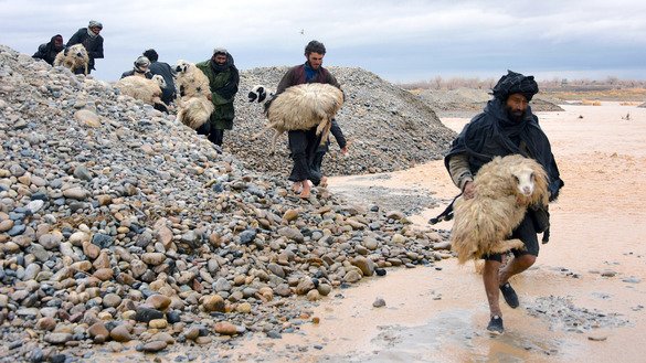 Villagers March 2 carry sheep along a flood affected area in Arghandab District, Kandahar Province. [Javed Tanveer/AFP]