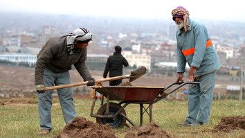 خسته از جنگ و طالبان، باشنده گان هرات بذر امید کاشتند