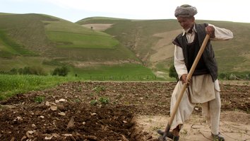 طالبان از یک دهقان معیوب بخاطر ندادن عشر در سرپل سر بریدند