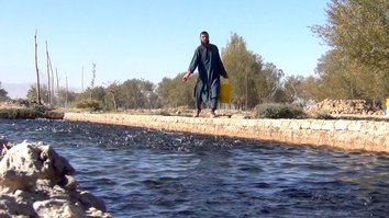 Herat fish farms see boost in production, reducing imports from Iran