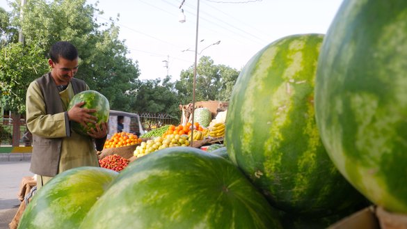 تصویر یک فروشندۀ میوه را به تاریخ ۲ ثور در شهر هرات نشان می دهد. [عمر/سلام تایمز]