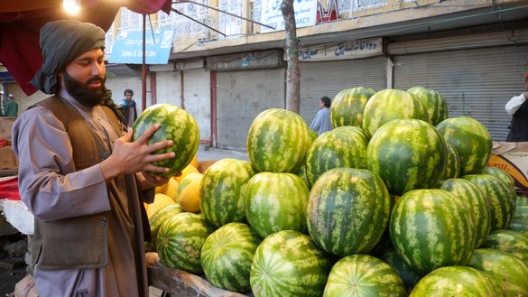 یک میوه فروش در شهر هرات به تاریخ ۲ ثور یک خربوزه را در دستان اش گرفته است. [عمر/سلام تایمز]