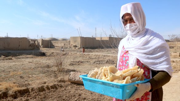 یک زن در قریۀ مصرآباد در نزدیکی شبرغان مرکز ولایت جوزجان به تاریخ ۲۶ ماه دلو یک سبد از سمارق های را که وی کاشته است انتقال می دهد. [الله نظر توران]