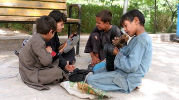Global aid organisations launch initiative to deter child labour in Herat