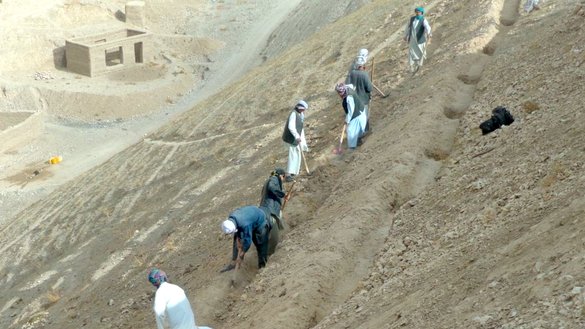 Local residents employed by a World Food Programme (WFP) initiative dig holes for planting pistachio seedlings in the suburbs of Aibak, Samangan province, on May 17. [Courtesy of Ismael Sadaat]