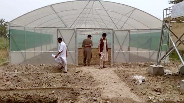 Shown in May is one of 15 greenhouses built by ACTED in Taloqan, capital of Takhar province, to empower women and help them earn an income. [ACTED Afghanistan]