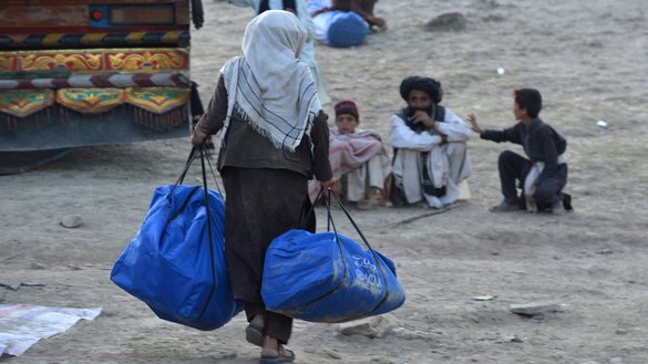 A volunteer carries aid received from the International Organisation for Migration for earthquake victims in the Afghan-Dubai village of Spera district in Khost province on June 26. [Ahmad Sahel Arman/AFP]