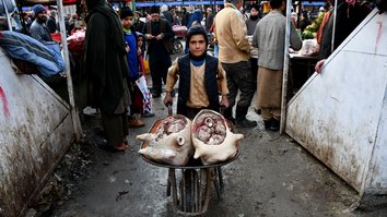 Mazer-e-Sharif inaugurates slaughterhouse funded by Asian Development Bank