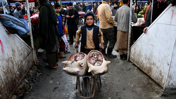 An Afghan boy pushes a wheelbarrow loaded with pieces of meat at a market in Mazar-e-Sharif on December 18. A new modern slaughterhouse in the city will ensure that meat is hygienic and free of diseases. [AFP]