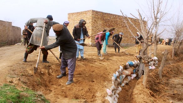ساکنان محلی به تاریخ ۸ حوت در یک پروژه ساخت جاده در روستای ابدال، تالقان، ولایت تخار که توسط برنامه جهانی غذای سازمان ملل (دبلیو اف پی) تمویل می شود، شرکت می کنند. [سمیع الله صمیمی/ سلام تایمز]