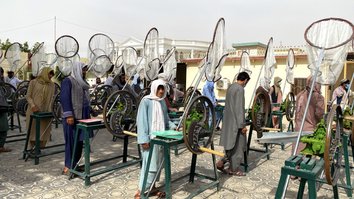 یو اېس ای آی ډي د کندهار له کروندګرو سره مرسته کوي چې د کوکنارو پرځای د کبانو کار ته مخه کړي