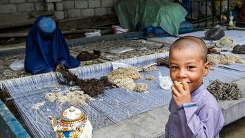 Extremist groups exploit refugee youth in crisis zones